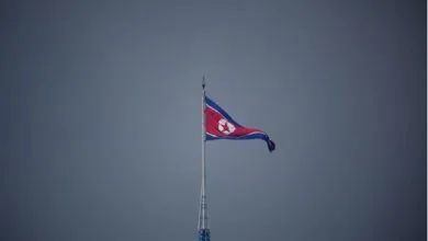 6197720.jpg